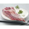 PLUMA Iberica/Iberian Feather / Wing of loin